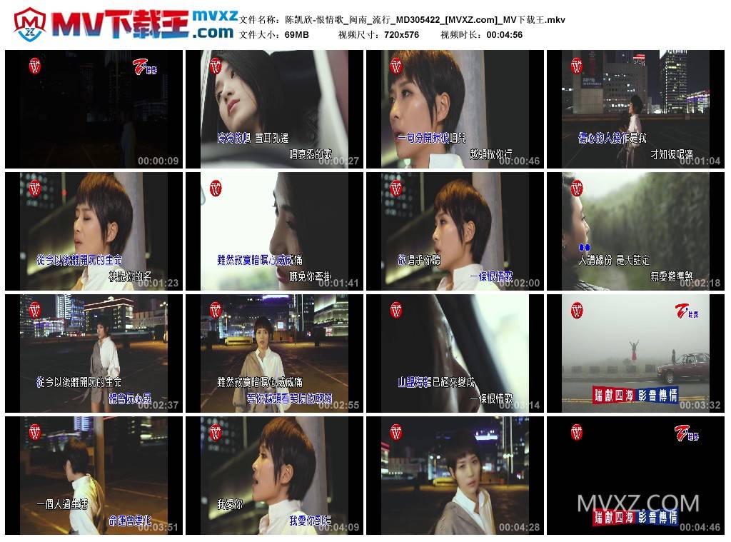 陈凯欣-恨情歌_闽南_流行_MD305422